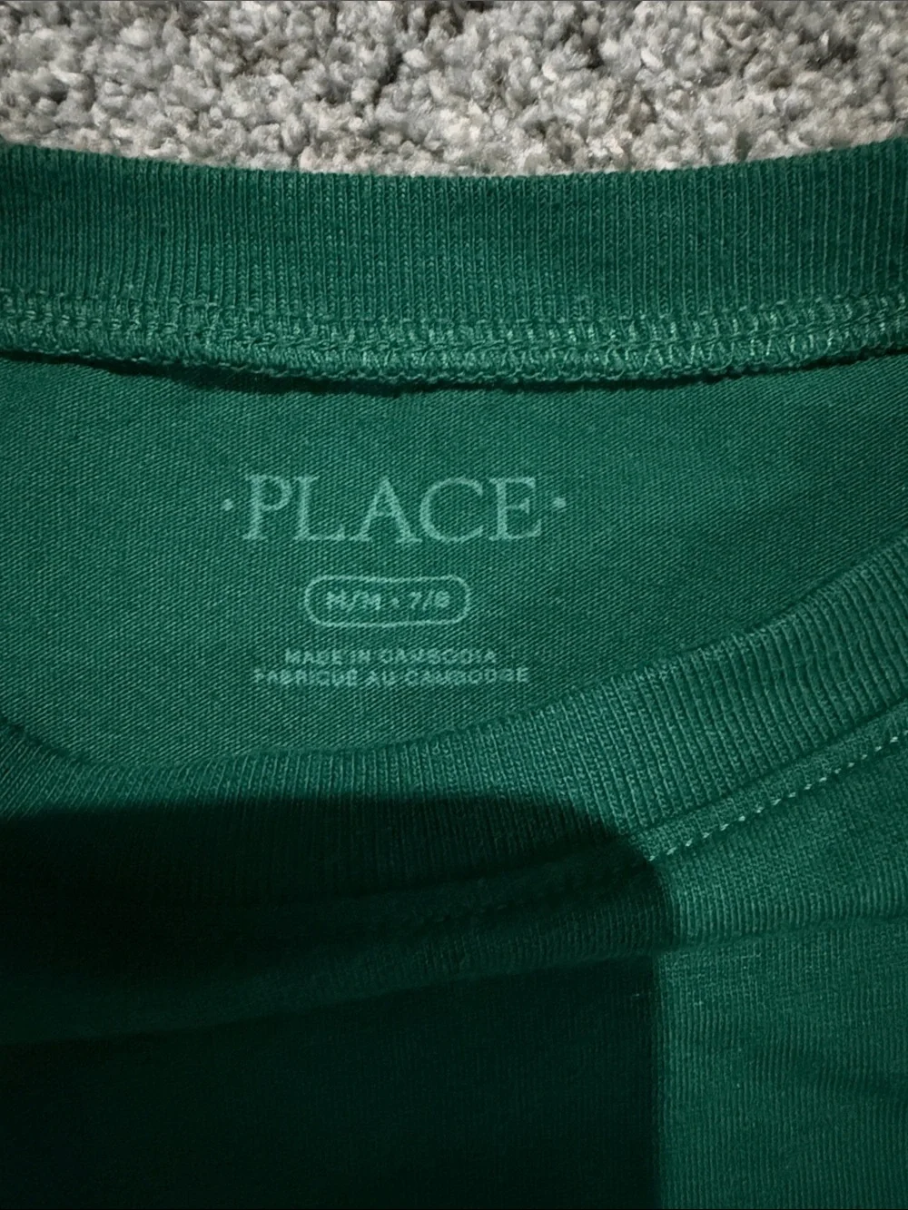 The Children's Place Green Moose Graphic Long Sleeve Tee with Navy Sleeves